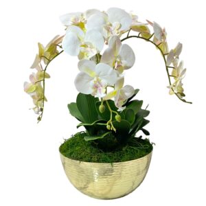 3 Stem Orchid Arrangement