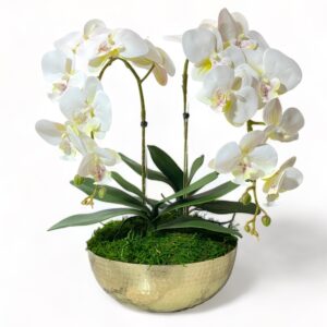 2 Stem Orchid Arrangement