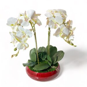 4 Stem Orchid Arrangement