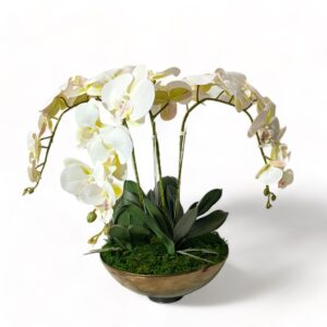 3 Stem Orchid Arrangement