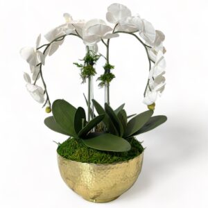 2 Stem Orchid Arrangement