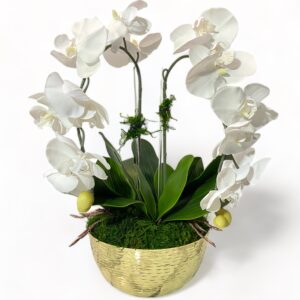 2 Stem Orchid Arrangement