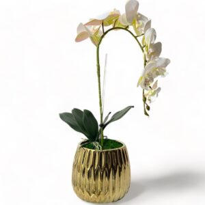 1 Stem Orchid Arrangement