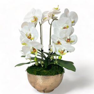 2 Stem Orchid Arrangement