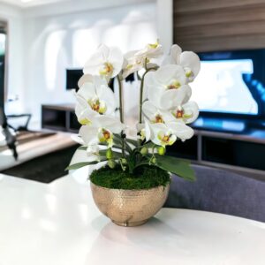 2 Stem Orchid Arrangement