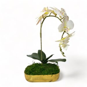 1 Stem Orchid Arrangement